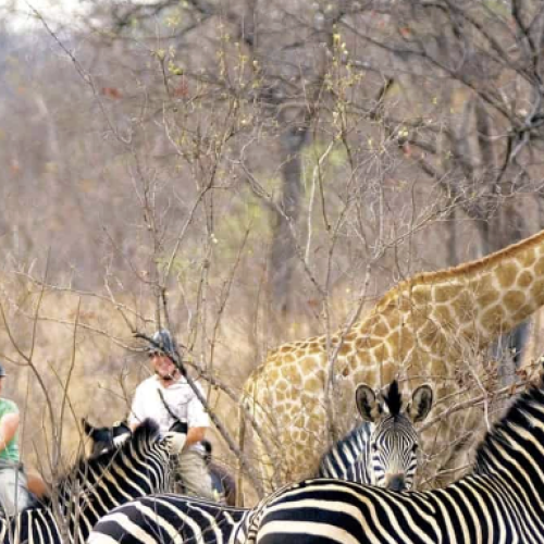 Screenshot 2025-10-09 at 5.10.57 PM